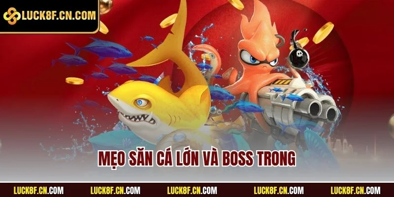 Mẹo săn cá lớn và boss trong