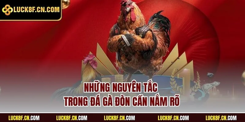 Những nguyên tắc trong đá gà đòn cần nắm rõ